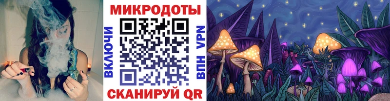 купить сайты Черняховск hydra tor Галлюциногенные грибы мухоморы